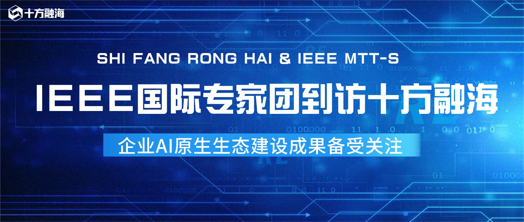 重磅!IEEE国际专家团到访十方融海,AI原生生态建设成果备受关注